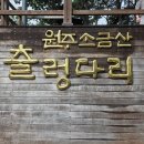 한다리4번길 | 원주 소금산 그랜드밸리 소금산 출렁다리 울렁다리 코스 주차 입장료