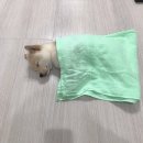 냠냠 - 마포구 성산동 | 냠냠