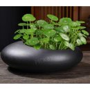 바이-수경 이미지