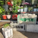 그래시룸 이미지