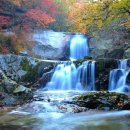 휴양림펜션 이미지