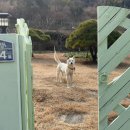 신기(남)경로당 이미지