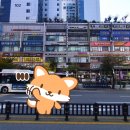 죽전누리사우나 | 용인24시찜질방 죽전누리사우나 목욕탕
