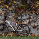 작은풍경 이미지