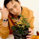 옐로우헤어클럽 이미지