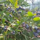 갈기산농장 이미지