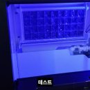 낙성대동-21 이미지