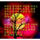 풋사랑 Daum카페