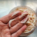 [판매완료] 보양식!!주말에 민어회 드세요/신안 참새우젓(육젓)/먹갈치/돌돔/반건조 생선 이미지