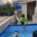 최가네정육식당