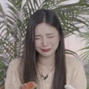 조이노래 이미지