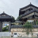 해바라기애견 | 경주 바실라 7월 해바라기 개화상황 실내 애견동반 후기
