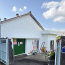 현농장 | 아이랑 제주여행 귤이 맛있는 제주감귤체험 내돈내산 곱은달감귤체험농장 후기