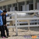 인성목장 이미지