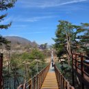 삼대 냉면 | 제천 맛집 삼대냉면 80년전통 내돈내산 후기
