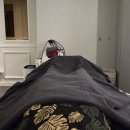오테라 | 마곡마사지 시오테라피 후기｜복부 슬림 스톤 50분 관리 솔직 리뷰