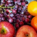 구로-수궁-구로-10 이미지