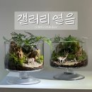 갤러리열음
