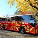 (주)노랑풍선시티버스 이미지