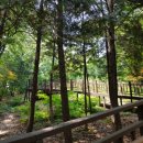 늘솔길공원양떼목장 이미지