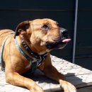 안양김준동물병원 이미지