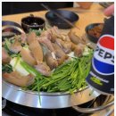 황금산흑염소 이미지