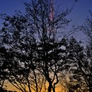 숲속의하루 이미지