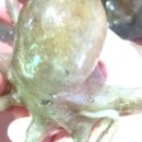 정읍미현수산