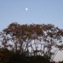 달하나빛 이미지