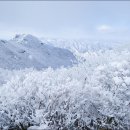 1월22일(화) 진안 운장산 정기번개산행 이미지