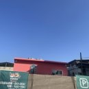 두류댕댕 이미지