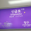 금호공원 앞 횡단보도 이미지