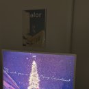 헤르만의정원in강릉 | [강릉]나만 알고 싶은 강릉 숙소 무료 조식 주시는 에어비앤비 *머스크멜로우*