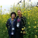 너더리길 이미지