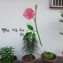 골목투어