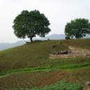 언덕위에집민박 이미지