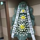 대한민국꽃배달