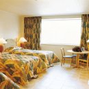 제주리조텔 이미지