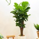 송내테크노밸리 이미지