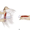 서울제일한방병원 이미지