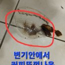 사용금지 알림 공지사항1 고장수리중, 안내문, 이미지