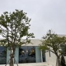 경주 감성숙소 클라우드나인 자쿠지 풀빌라 추천 및 후기