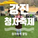 주무대 앞 | [강진] 2026 강진청자축제 솔직후기｜아이와 가기 좋은 전남 가족축제, 주차·체험·먹거리 총정리(2월...