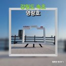 속초사잇길 제1길 | [여행] 강원도 속초 가볼 만한 곳 &#34;영랑 호수 윗길&#34; 속초 사잇길 제1길