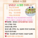 송원농장 네이버블로그