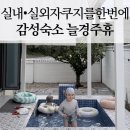 휴펜션&모텔 | 감성 독채 숙소 늘경주휴 후기 온수 자쿠지+정성 조식...아이랑 경주독채펜션 가성비 여행 숙소 추천...
