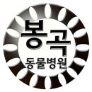 봉곡동물병원 이미지