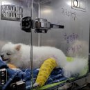 평화동-08 이미지