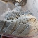 노블랜드 세탁 이미지