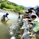 남강하천1 이미지